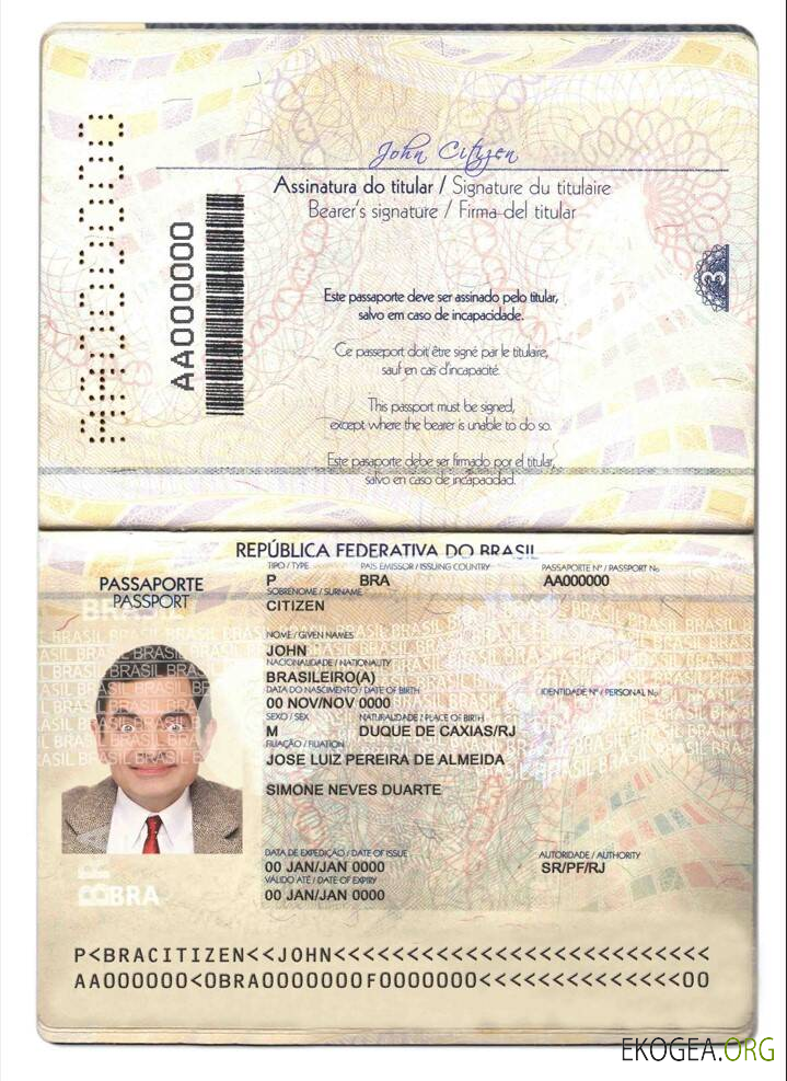 Modèle de passeport brésilien au format PSD, entièrement modifiable, version 2 (2019 présent)